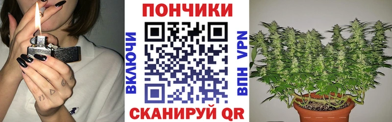 Марихуана план как найти закладки Венёв